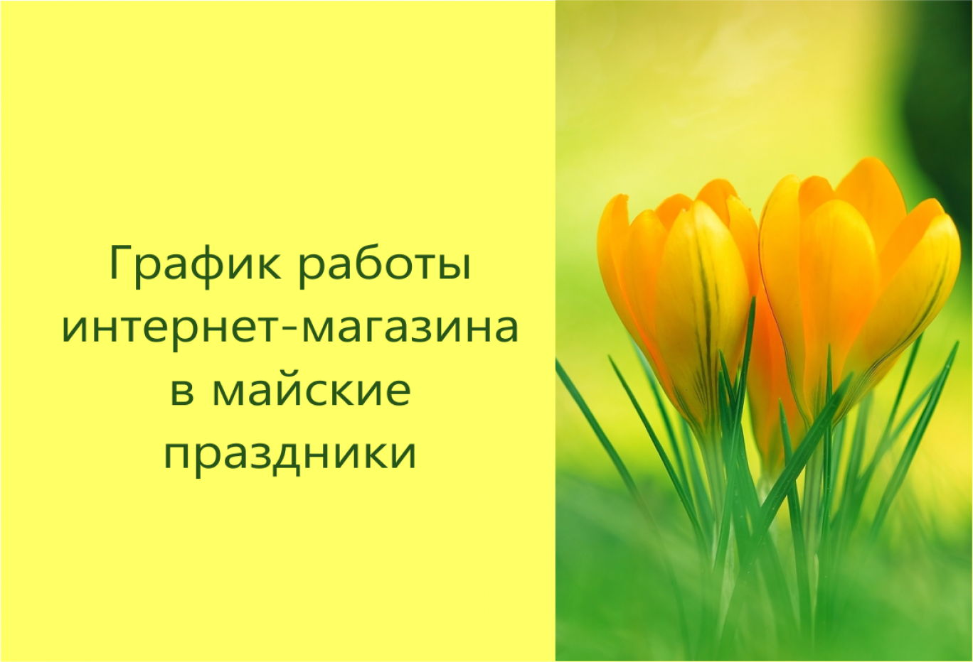Графика Интернет Магазина Графика Интернет Магазина